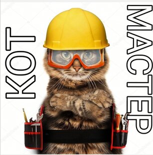 кот мастер 1