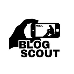 Дзен BlogScout статистика