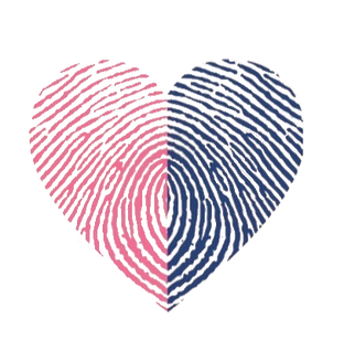 Дзен Настя Левочкина  статистика