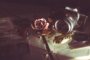 Статистика Дзен Джульетта с камерой