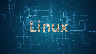Программы в Linux