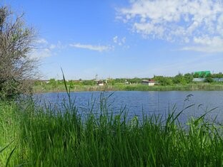 Новеллы. Сборник 1