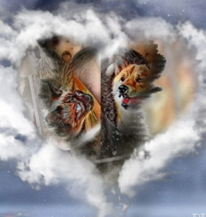 Боня и Джек рассказы