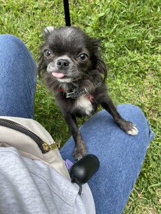 Посмотреть