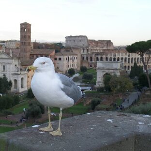 Путешествие по Италии