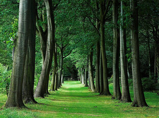 Открытый дневник