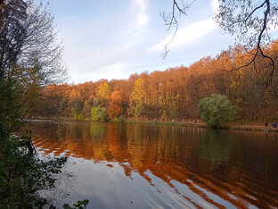 Прогулки