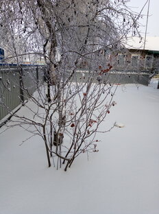 Природа и погода. 