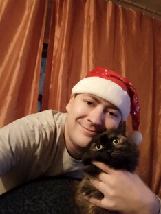 Котики правят миром 