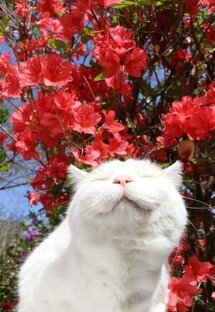 Цитаты и Мотивация