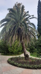 Первый раз в Сочи и Абхазии