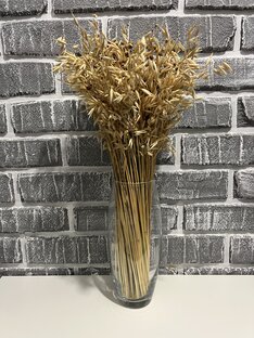 Подборки с Wildberries