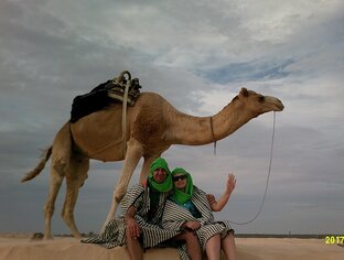 Тунис по полочкам