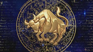 Знаки Зодиака Совместимость