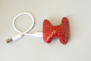 Для новеньких