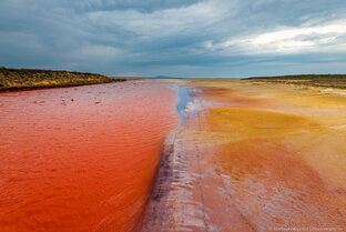 Озеро Эльтон