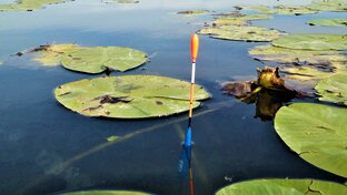 Лайфхаки рыбалки по открытой воде