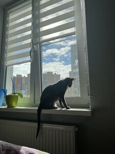 Мэйс
