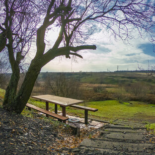 Запечатлённые мгновения