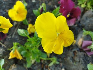 Популярные рассказы