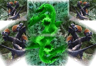 Страшные сны Горыныча, принцессы, принца и даже рыцаря! 