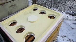 холстик и пленка больше не нужны в улье , перешел на потолочины