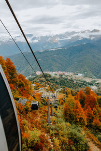 Осень🍁