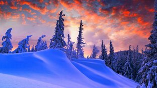 СТИХИ О ПРИРОДЕ