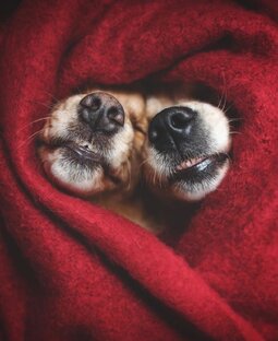 Викторины, тесты, конкурсы