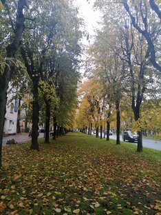 Осень🍁