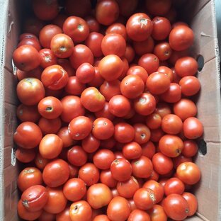 консервация