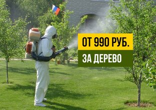 Обработка сада 