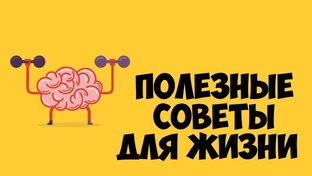Полезные советы для жизни