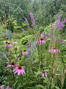 Новая волна 