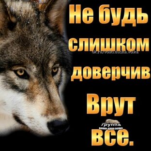 Фильмы
