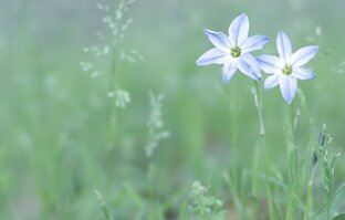 Психотесты