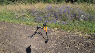 поиск сокровищ