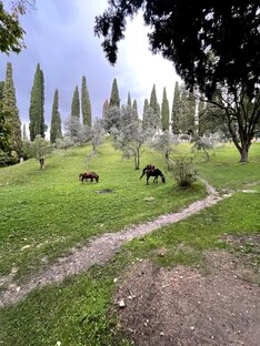 Путешествия