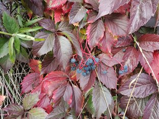 Народные приметы на каждый день.