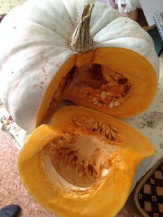 Что приготовить из тыквы