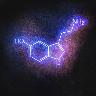 Новости науки