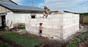 Курятник своими руками. 