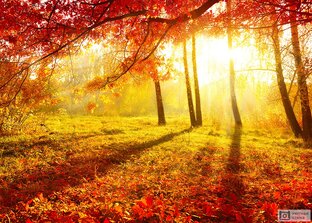 Заметки, которые могли бы быть ежедневными, если бы я не ленился))