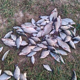 Рыбацкая удача/Ловля на пружину.