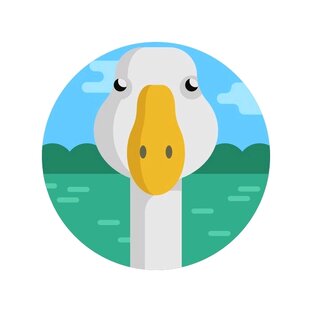 О животных.