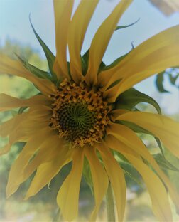 Мои украинские каникулы