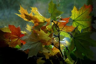 Почти смешно