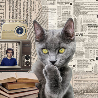 По реальным событиям