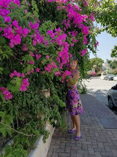 Интересные животные и растения. Развлечения. 