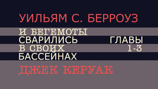 Джек Керуак и Уильям С. Берроуз - И бегемоты сварились в своих бассейнах